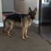 John Fraioli - Facebook