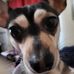 John Fraker - Facebook