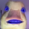 johnston fralick - @johnstonfralick - TikTok