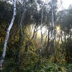 John Frampton - @johnframpton66 - Instagram