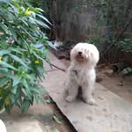 johnfrances bhargav - @johnfrancesbhargav - Instagram