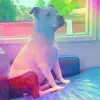 John Franceschi - @john.franceschi - TikTok