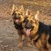John Francesconi - Facebook
