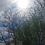 John Franck - @math.ieu8372 - Instagram