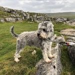 John Franey - @nohj65 - Instagram