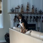 John Frates - @john.frates.9 - Instagram