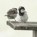 John Fread - @freadob1 - Instagram