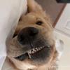 John freddie - @john.freddie92 - TikTok