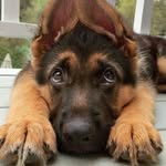 Alex Please Wait - @john.frederico1 - Instagram