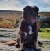 John Freeburn - Facebook