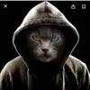 John Freire - @john.freire3 - TikTok