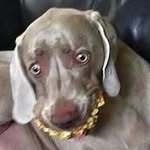 John Frerichmann - @john_frerererer - Instagram