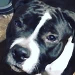John freshour - @jruninit - Instagram