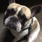 John Freund - @chucho_monster - Instagram