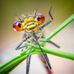 John Frew - Facebook