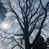 John Frey - @john.frey7 - TikTok