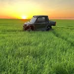 John Friesen - @john_friesen_vineyards - Instagram