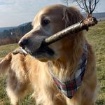 John Frisbie - @frisbie511 - Instagram