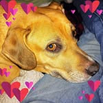 John Furey - @jgfny1961 - Instagram
