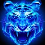 John Furlow - @anqowl360 - Instagram