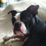 John Furst - @j1st48 - Instagram
