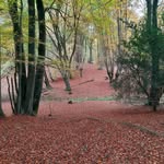 John Gable - @gab3799 - Instagram