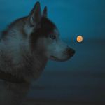 Januś G. Szalai - @john_gabor88 - Instagram