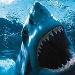 John Gabor - @johnklara85888588 - Instagram