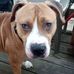 John Gaddy - Facebook