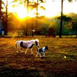 John Gaddy - @john.gaddy.74 - Instagram