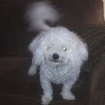 John Gailey - @johngailey4740 - Instagram