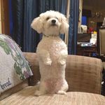 John Gailey - @johngailey07 - Instagram