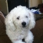 John Gailey - @jgailey101 - Instagram