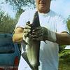 John Gall681 - @bubbaj41 - TikTok