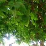 John Galley - @john.galley.906 - Instagram