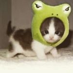 John Galus - @princesscj2022 - Instagram