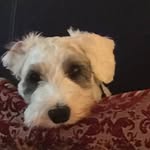 John Gamble - @gamble26423021 - Instagram