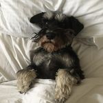 John Gamble - @jbgamble65 - Instagram