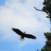 John Gamblin600 - @j.a.g67 - TikTok
