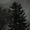 Johnyy - @john.gamer16 - TikTok