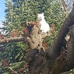 john_theodosiou - @johngamer275 - Instagram
