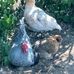 John Gander - Facebook