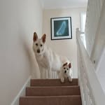 John Gander - @john.gander.549 - Instagram