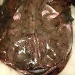 John Ganderup - @johnganderup - Instagram