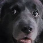 John Gandy - @lawrencejohn.gandy - Instagram