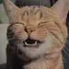 John Carla Gardon - @john.carla.gardon - TikTok