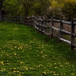 John Garrison - @garrison1634 - Instagram