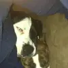 johngarrow358 - @johngarrow358 - TikTok