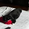 Gary John - @gary.john511 - TikTok