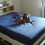 John Thomas Gasser - @johnthomasgasser - Instagram